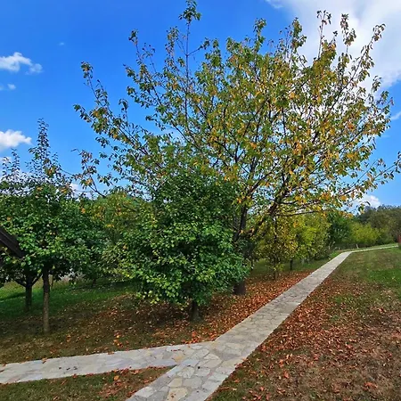Villa Enigma Bihac Exterior photo